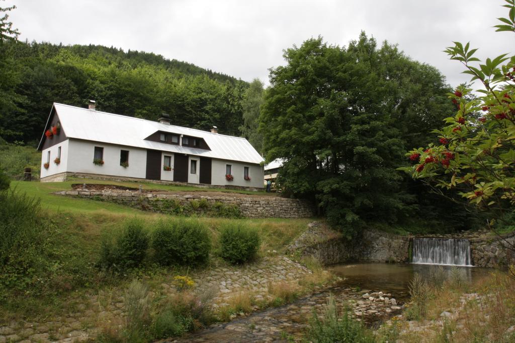 Guest House U Lakomce Desná Exterior photo